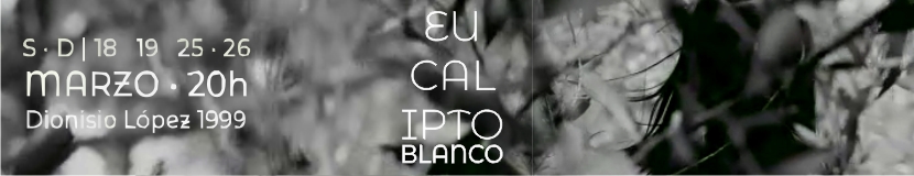 banner eucalipto 2023