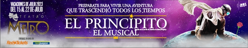 banner principito DEF